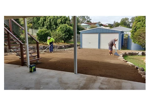 Buffalo Palmetto re-turf on 2 July 2020 at Everton Park. - 2/8