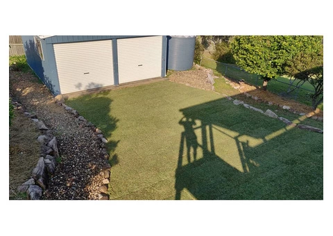 Buffalo Palmetto re-turf on 2 July 2020 at Everton Park. - 3/8