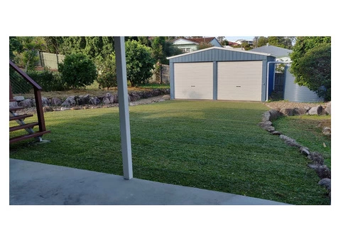 Buffalo Palmetto re-turf on 2 July 2020 at Everton Park. - 4/8