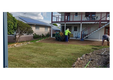 Buffalo Palmetto re-turf on 2 July 2020 at Everton Park. - 6/8