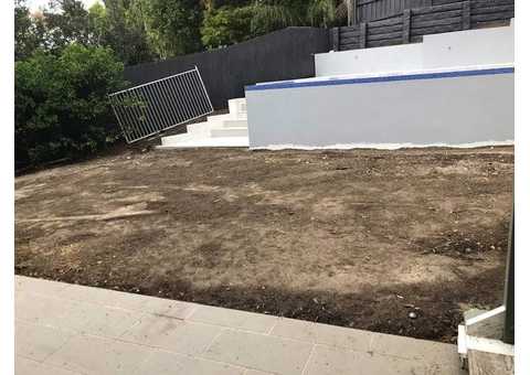 Empire Zoysia turfing on 24 June 2020 at Coorparoo, Queensland. - 3/7