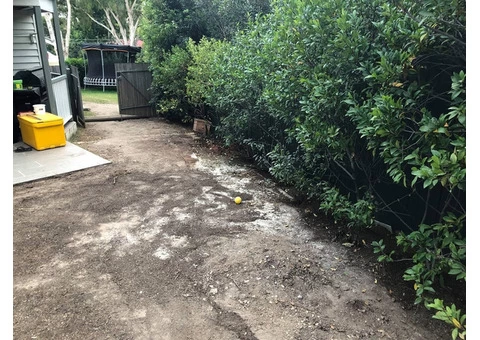 Empire Zoysia turfing on 24 June 2020 at Coorparoo, Queensland. - 4/7