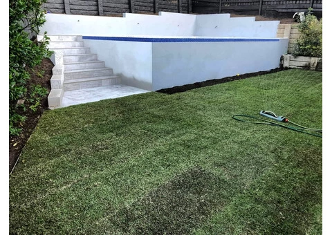 Empire Zoysia turfing on 24 June 2020 at Coorparoo, Queensland. - 7/7