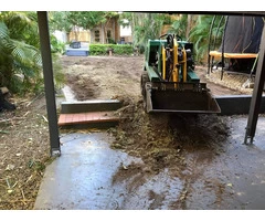 Buffalo Palmetto best for shady areas.