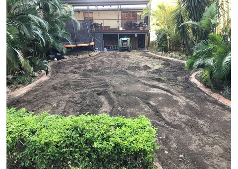 Buffalo Palmetto best for shady areas. - 2/4