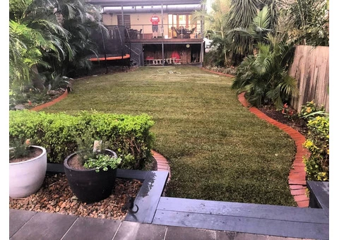 Buffalo Palmetto best for shady areas. - 3/4