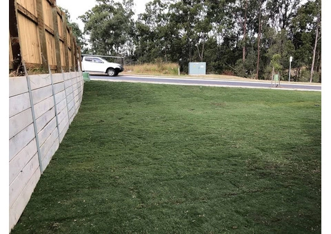 Re-turfing front yard on June 14 in Collingwood Park - 5/5