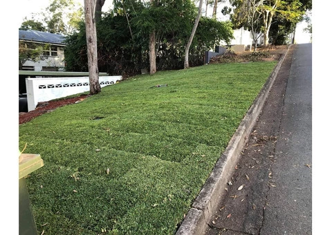 Mulching and turfing on June 14 at Fig Tree Pocket. - 4/5