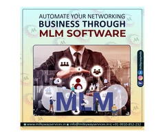 MLM Software Company In Noida