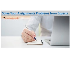 Solve Your Assignments Problems from Experts