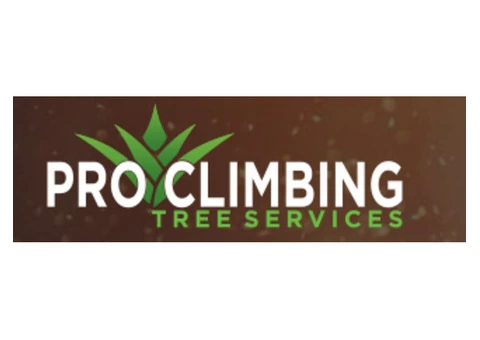 Pro Climbing Tree Services