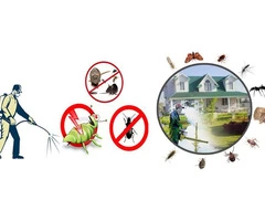 Home Maters Pest Control