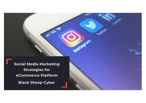 Black Sheep Cyber- Social Media Strategy for eCommerce Website