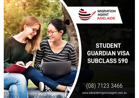 Get Insights About The Subclass 590 Visa