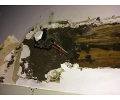 Eco-Friendly & Safe Chemical Termite Barriers in Melbourne