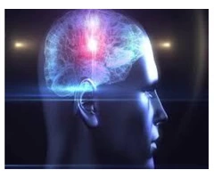 Herbs Of Gold| Power Packed Herbal Supplements For Memory And Concentration