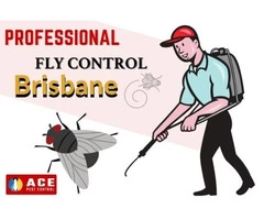Ace Fly Removal Brisbane