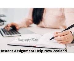Need to Get Instant Assignment Help New Zealand