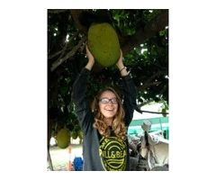 Get Permaculture Australia