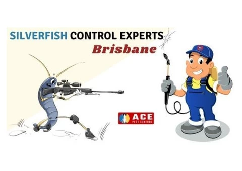 Ace Silverfish Control Brisbane - 1/3