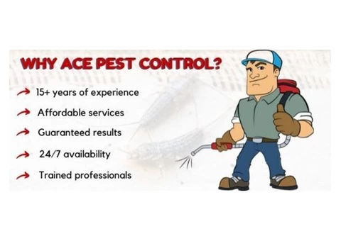Ace Silverfish Control Brisbane - 2/3