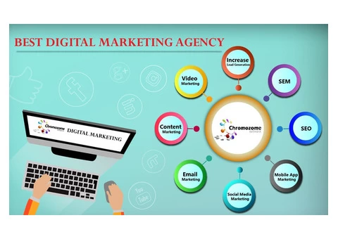 Social Media Marketing Agency in Melbourne | SMM Melbourne