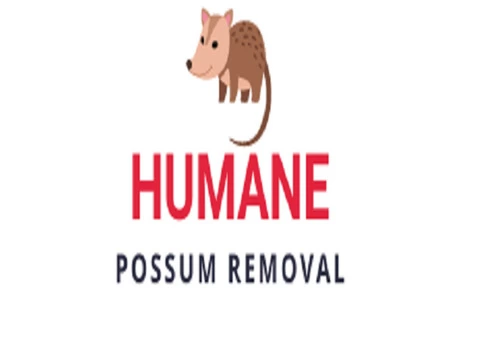 Humane Possum Removal