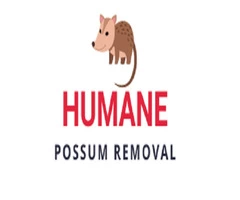 Humane Possum Removal