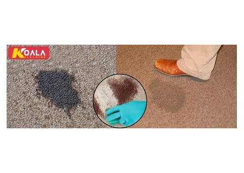 Carpet Cleaning Gilles Plains - 3/4