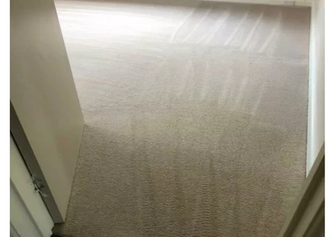 Carpet Cleaning Brisbane - 4/5