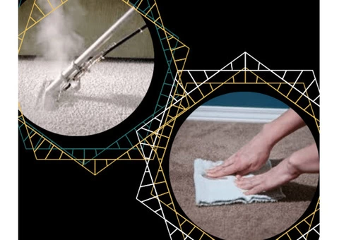 Carpet Cleaning Orelia - 2/5