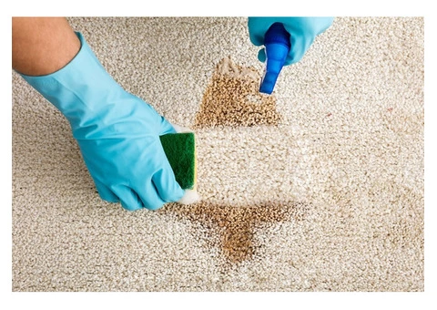 Carpet Cleaning Brisbane - 2/3