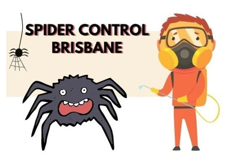 Spider Control Brisbane - 1/4