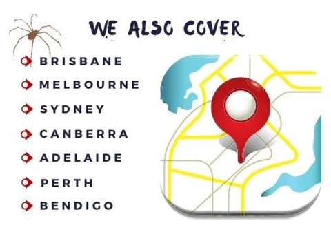 Spider Control Brisbane - 4/4