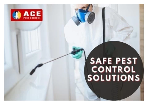Pest Control Buderim