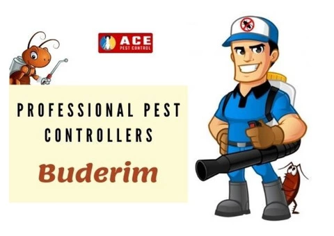 Pest Control Buderim - 2/2