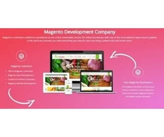 Magento Web Development Company