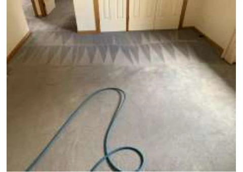 Carpet Cleaning Sydney - 3/3