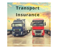 Get the Top Transport Insurance for Top-Notch Experience