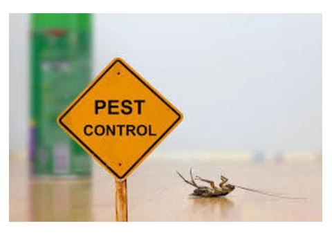 Pest Control Manly