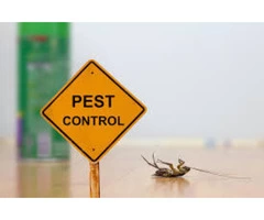 Pest Control Manly