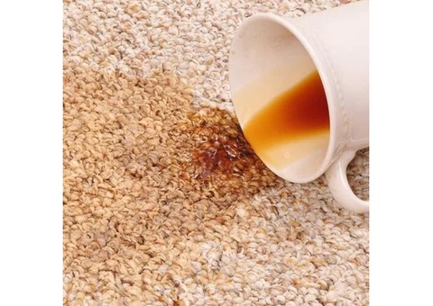 Carpet Cleaning Melbourne - 1/8