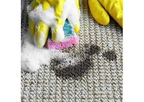 Carpet Cleaning Melbourne - 6/8