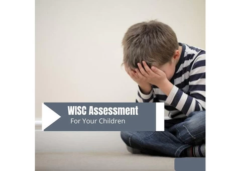WISC Assessment For Children