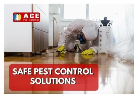 Pest Control Coorparoo - 2/2