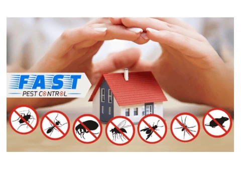 Pest Control Maroochydore - 2/2