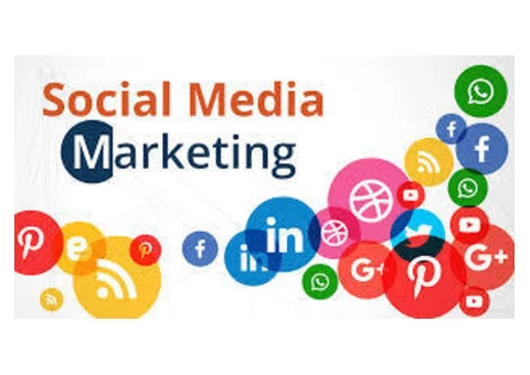 Grow Your Business Using Social Media Advertising - Dreamcarton