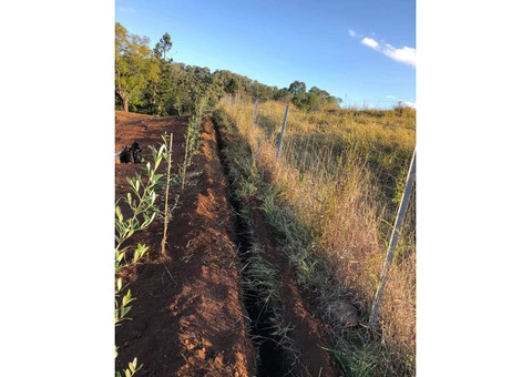 Trenching wherever whenever. - 4/8