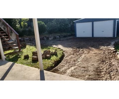 Buffalo Palmetto re-turf on 2 July 2020 at Everton Park.