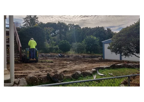 Buffalo Palmetto re-turf on 2 July 2020 at Everton Park. - 2/8